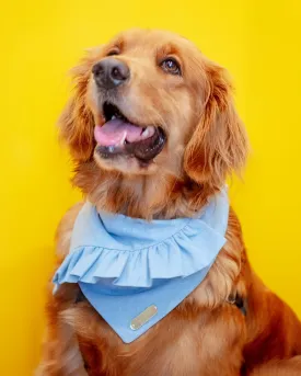 Chambray Ruffle Bandana for Dogs (Made in the USA)