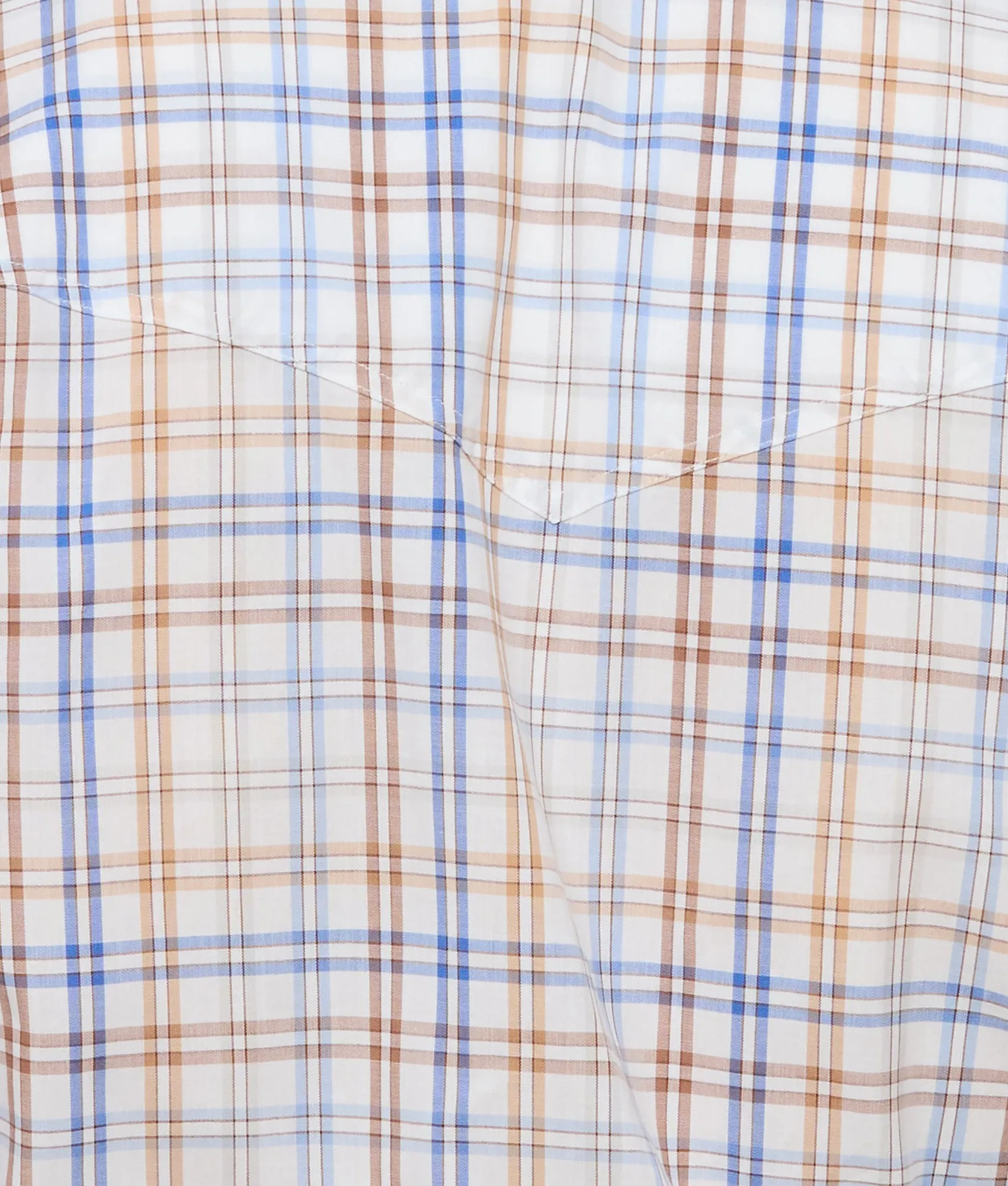 El Paso Plaids :: Brown Blue